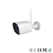 Купольные IP-камеры.