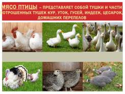 Индейка.