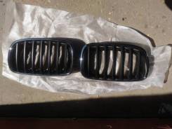 Решетка радиатора. BMW X5, E53