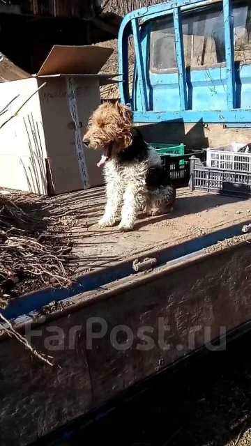 ����������. ����