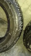 Debica Navigator. �����������, �/�, ����� 30�%