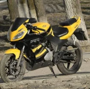 GX. 250����. ��., ��������, ���, � ��������. ��� ����� �� ������������� ����