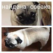 ����.