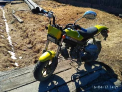 Suzuki Street Magic II. 65����. ��., ��������, ��� ���, � �������� ����