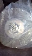 ����� 8-98071042-0 ����