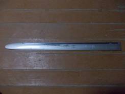 Накладка на дверь. Nissan Bluebird Sylphy, QNG10, QG10, TG10, FG10 Двигатели: QG18DE, QR20DD, QG15DE