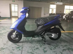 GES. 49����. ��., ��������, ��� ���, ��� ������� ����