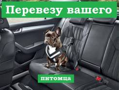 Доставка, перевозка животных.