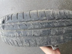 Tunga Camina. ������, 2016 ���, �/�, ����� 40�% ����