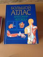 Анатомия. Класс: 11 класс