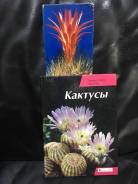 Кактус.