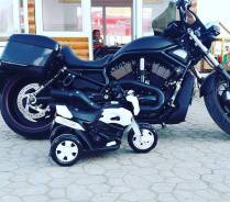 Harley-Davidson Night Rod Special VRSCDX. 1 250 куб. см., исправен, птс, с пробегом. Под заказ