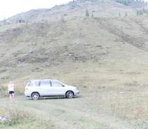 Амортизатор. Toyota Ipsum, SXM10, SXM10G