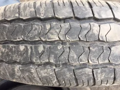 Sprut. ������, 2016 ���, 20�%, 3 ��