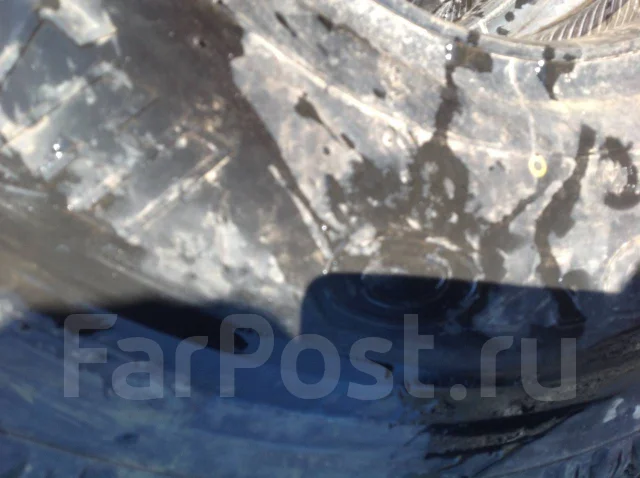Bridgestone Blizzak W810. �����������, 2010 ���, ����� ����
