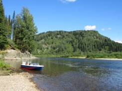Амур