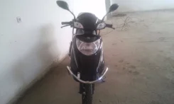 Stels Gryphon ����