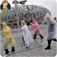 Дождевики.