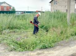 Покос, скос, выкос травы от 180 руб. за сотку