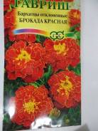 Бархатцы.