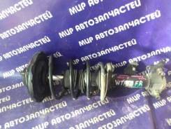 Амортизатор. Nissan Primera, WTP12