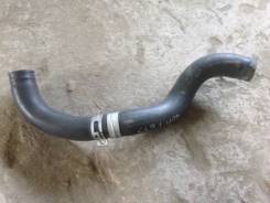 Патрубок радиатора. Honda Accord, CL9 Двигатель K24A