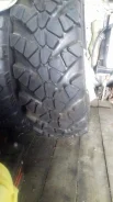 TyRex CRG O-184. ����� AT, ��� ������