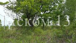Земельный участок, урочище "Мирное", снт "Ветеран", участок № 572. 909 кв. м., собственность, от агентства недвижимости (посредник). Фото участка
