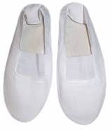 Чешки. 37