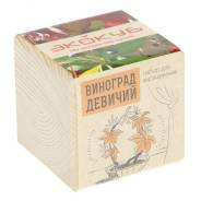 Девичий виноград.