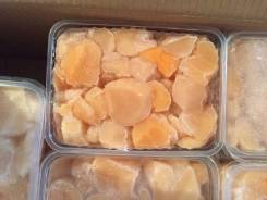 Морской гребешок.