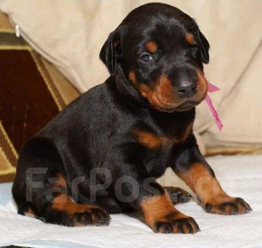 1495698195519_bulletin