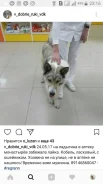 �����. ����