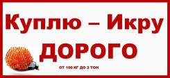 Икра красная. Под заказ