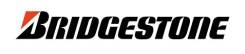 Bridgestone. Летние, износ: 50%, 2 шт
