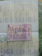 Hyundai Avante ����
