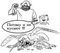 Сетки москитные оконные.