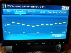 Pioneer