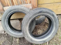 Dunlop Landsman. ������, 60�%, 2 ��