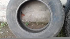 Bridgestone B65. ������, 2006 ���, 50�%, 1 ��