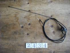 Антенна. Mitsubishi Delica Star Wagon, P05W, P04W, P15W, P03W, P24W, P35W, P25W Mitsubishi Delica, P25W