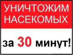 Уничтожение насекомых.