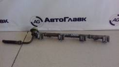 Топливная рейка. Toyota: Aurion, Mark X Zio, Ipsum, Avensis, Corolla, Estima, Avensis Verso, Vanguard, Tarago, Picnic, Solara, Picnic Verso, Matrix, V...