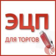 Электронная подпись 2.0 ( ЭЦП) для торгов, госзакупок, Сбербанка.