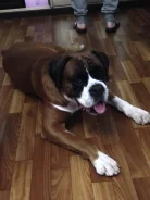 ������. ����