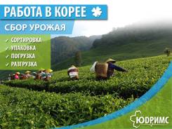 Работа в Южной Корее! Зарплата от 100 000 руб. в месяц!