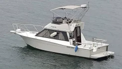 Yamaha PC-27. 1994 ���, ����� 9��., ��������� ������������, 320��.�., ������ ����