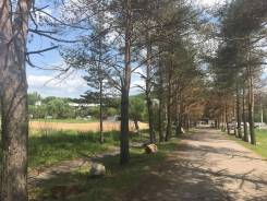 Земельный участок 1500 кв. м курорт Шмаковка. 1 500 кв. м., аренда, электричество, вода, от частного лица (собственник)