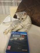 Игры для Sony PlayStation 4.