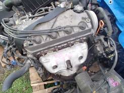 Головка блока цилиндров. Honda Street Honda Logo, GF-GA5, E-GA3, GF-GA3 Двигатель D13B7